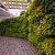 تاثیر دیوارهای سبز در توسعه فضاهای سبز شهرها